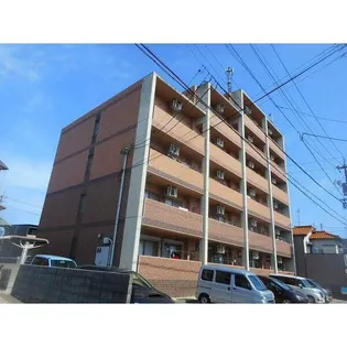 サンリット パイン ニードルの画像