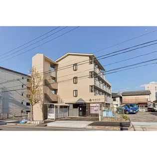 シャトー大根の画像