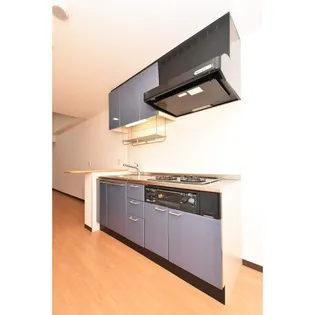 Gramercy Shirakawa Koen【0204号室】の外観