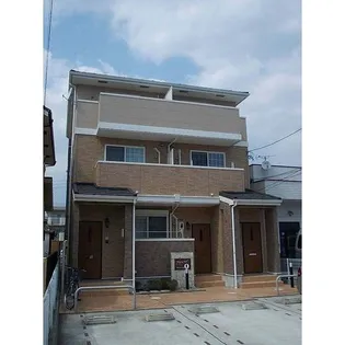 タウニーオウルの画像