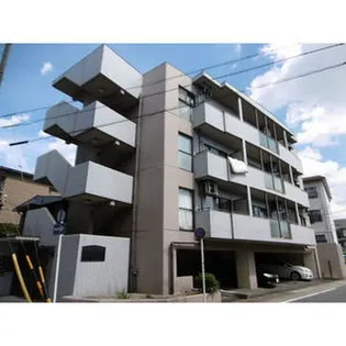 カッコルディの画像