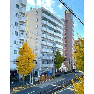 メゾン・ド・エトワール【0615号室】の外観