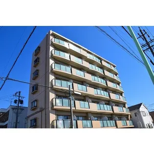ドミール本城の画像