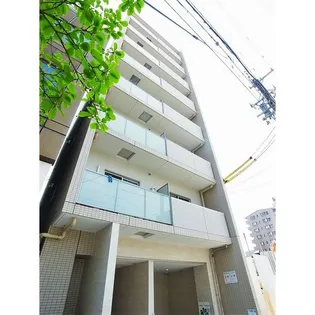 SJ桜山の画像