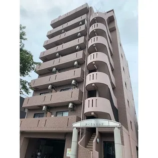 アベニュー神宮【305号室】の外観