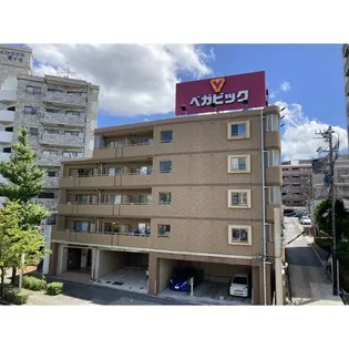 ステラヒルズ【4階】の外観
