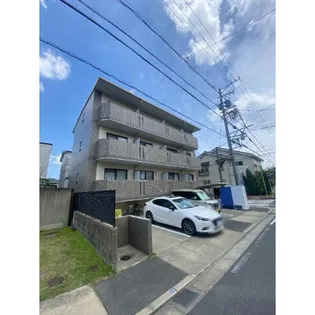 サンシャイン白菊の画像