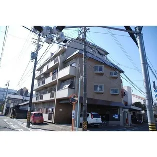 シャルムスワンの画像