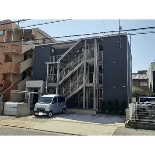 サーフェリッツの画像