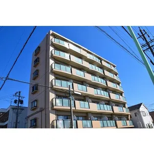 ドミール本城の画像
