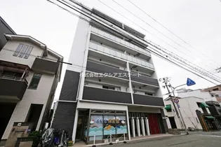 アミル9の画像