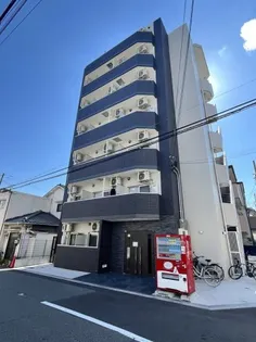 EIJU TSUKAMOTOの画像