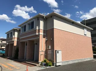 アンジェの画像