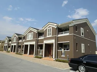 ノーチェの画像