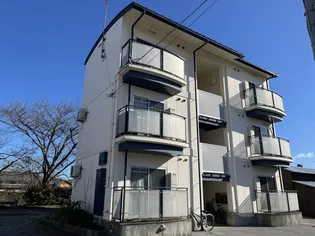 チェリーブロッサムの画像