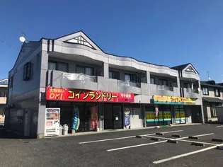 ヴィヴェールの画像