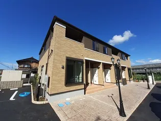 プラシードNの画像