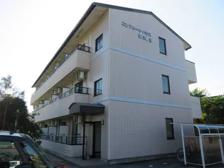 コンフォートハウス長浜Ⅱの画像