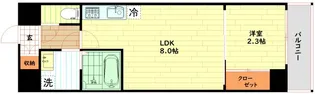 セレニテ日本橋ミラク【13階】の間取り