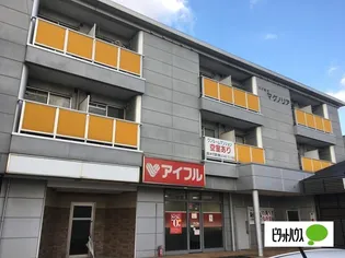 ハイネスマグノリアの画像