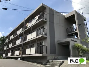 サンヒルタニウの画像