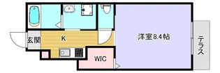Bellissimo A【103号室】の間取り