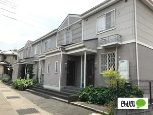 グリーンオーシャンの画像