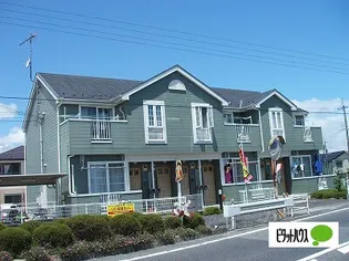 ピリアーの画像