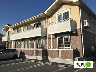 シェノートルヨノミの画像