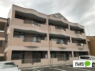 PREVAIL VANの画像