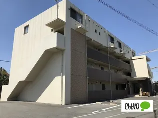 シーダーエースの画像