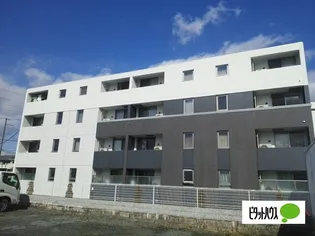 フェリスの画像