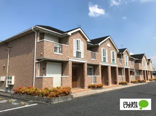 アガパンサスI IIの画像