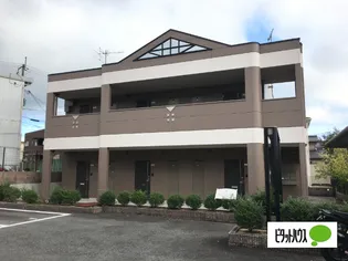 LITTLE COURT AQUAの画像