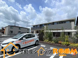 ベルコロレVIIIAの画像