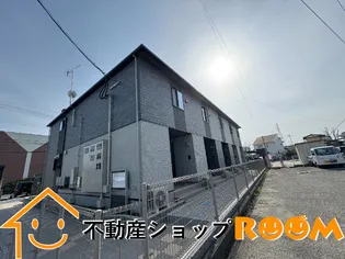 KK クリザンテーモの画像