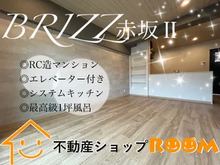 ブライズ赤坂Ⅱの画像