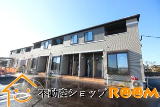 モーニング グローリーの画像