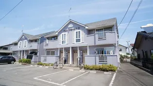 ヴェルドミールY Cの画像