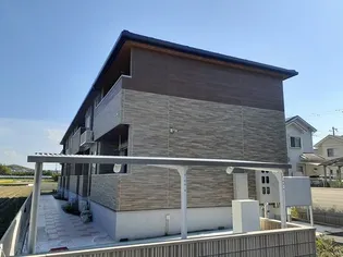 サン 目安の画像
