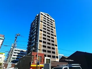 フェルトの画像