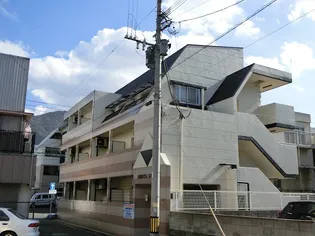 オリエンタル神岳の画像