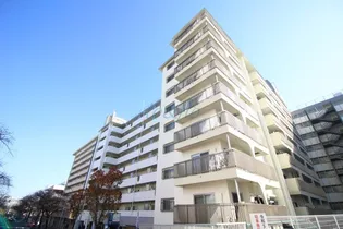 美しが丘ルピナスの画像