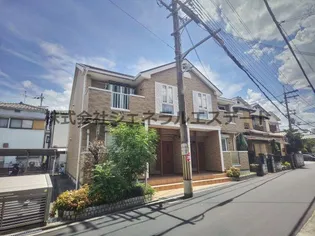 サンフェスタの画像