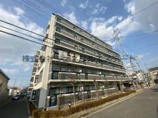 グレイシィーK Yの画像