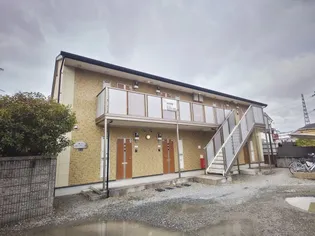 カンフォーラの画像