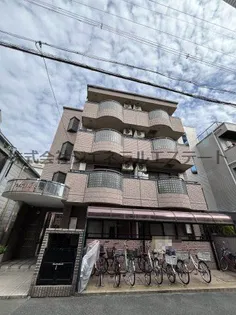 ウィスコM大和田の画像