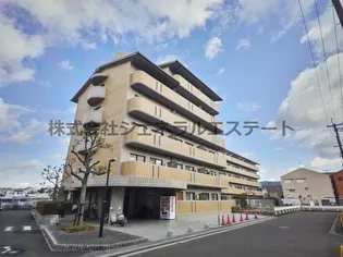 フレアコートコスモの画像