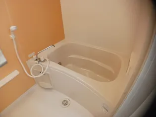 フラワータウンハイドレインジア【2階】の風呂