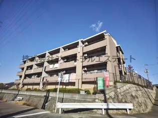 CASA・はなみずき【301号室】の外観